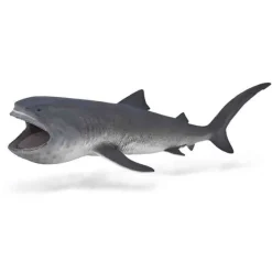 Megamouth Shark