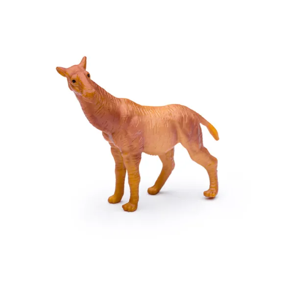 Mini Prehistoric Mammals