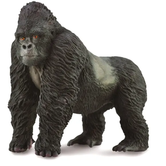 Mountain Gorilla