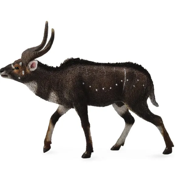 Mountain Nyala