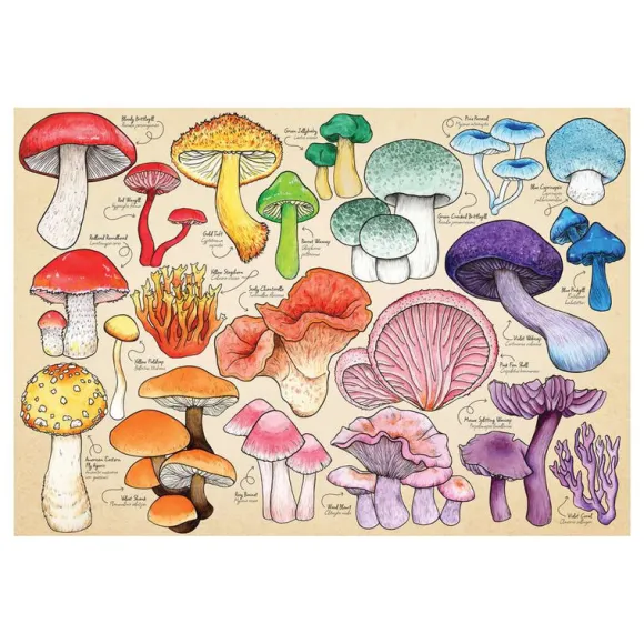 Mushroom Mania 1000 Piece Puzzle