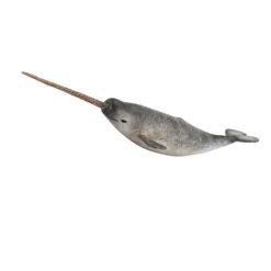 Narwhal