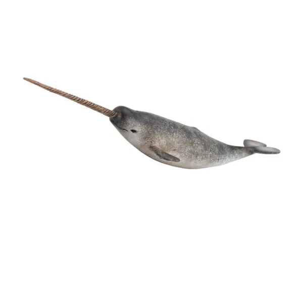 Narwhal