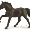 Nonius stallion