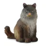 Norwegian Forest Cat Sitting