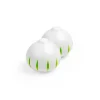Onion (Pack of 2)