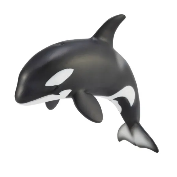 Orca Calf