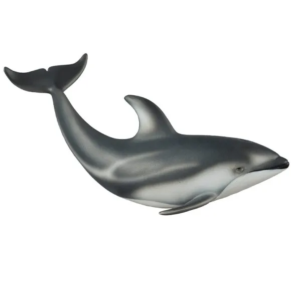 Pacific White Sided Dolphin