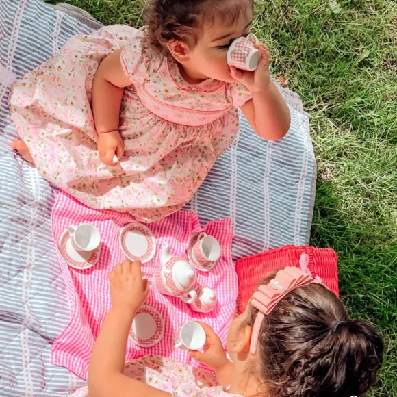 Picnic Tea Set
