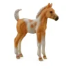 Pinto Foal Standing Palomino