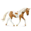 Pinto Mare Palomino