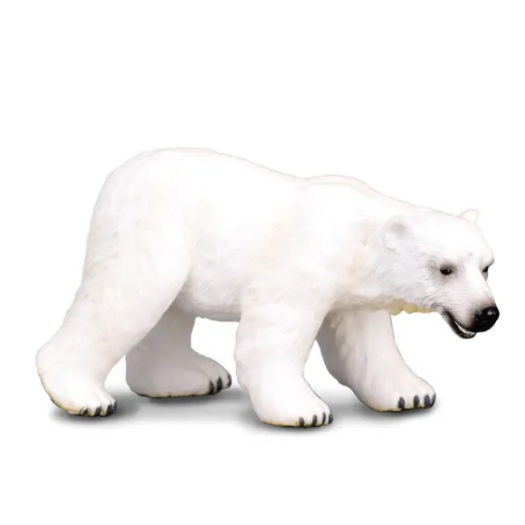 Polar Bear