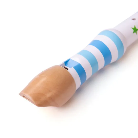 Recorder (One Supplied)