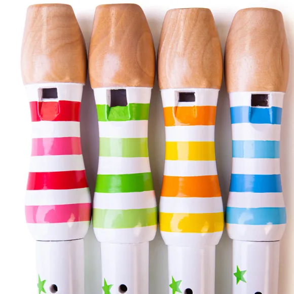 Recorder (One Supplied)