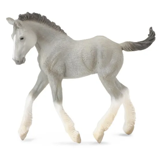 Shire Horse Foal Grey