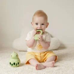 Silicone Teether - Dino