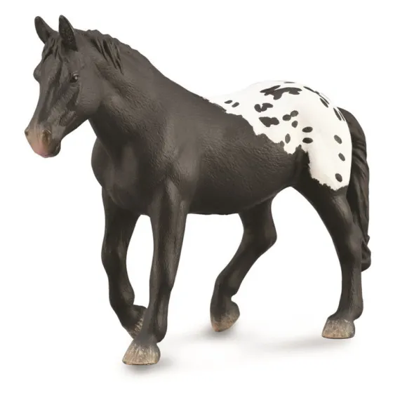 Sugarbush Draft Mare - Black Blanket w Spots