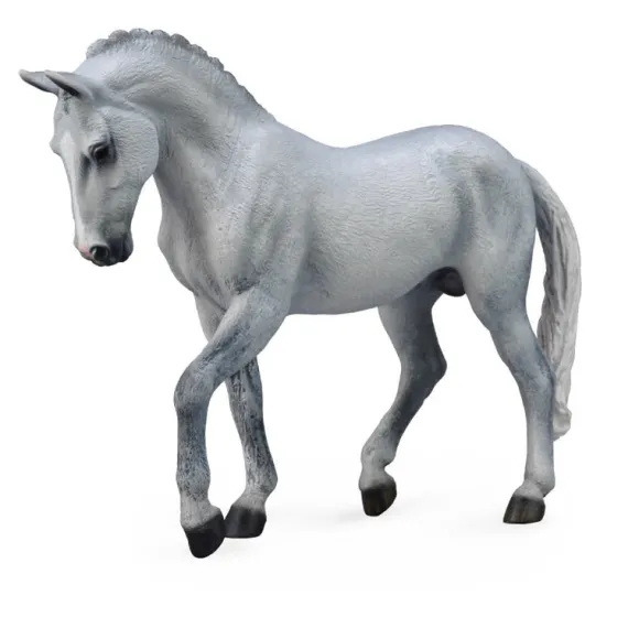 Trakehner Stallion Grey