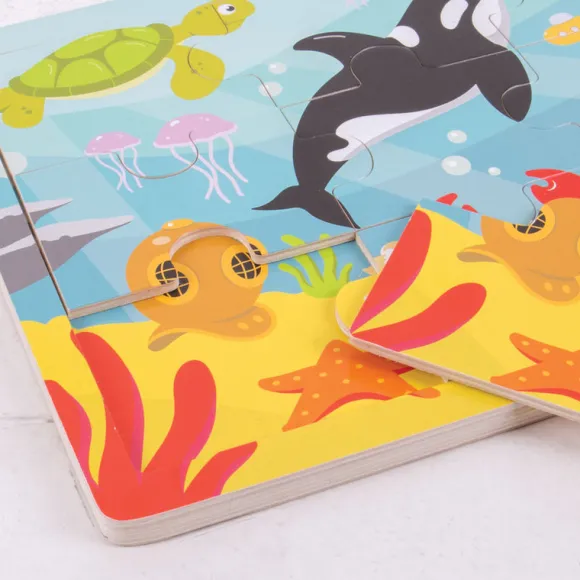 Tray Puzzle (Underwater)