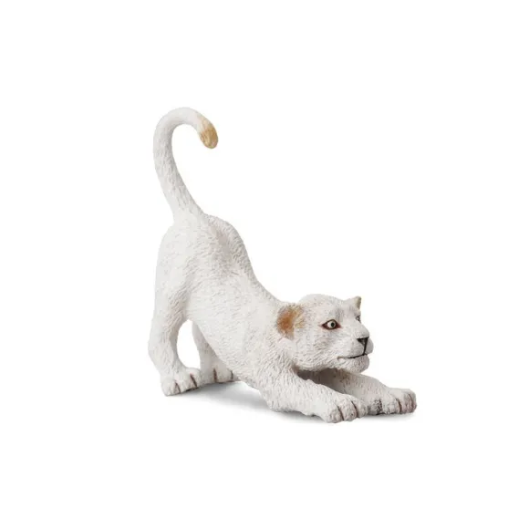 White Lion Cub Stretching