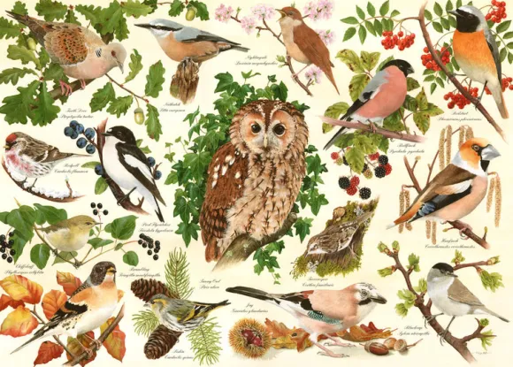 Woodland Birds - BIG 500 Piece Jigsaw Puzzle